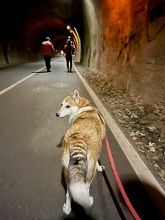 Vor dem Tunnel Dornap