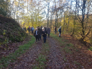 Herbstwanderung 2019 auf dem Weg